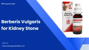 Our Blogs Berberis Vulgaris for Kidney Stones