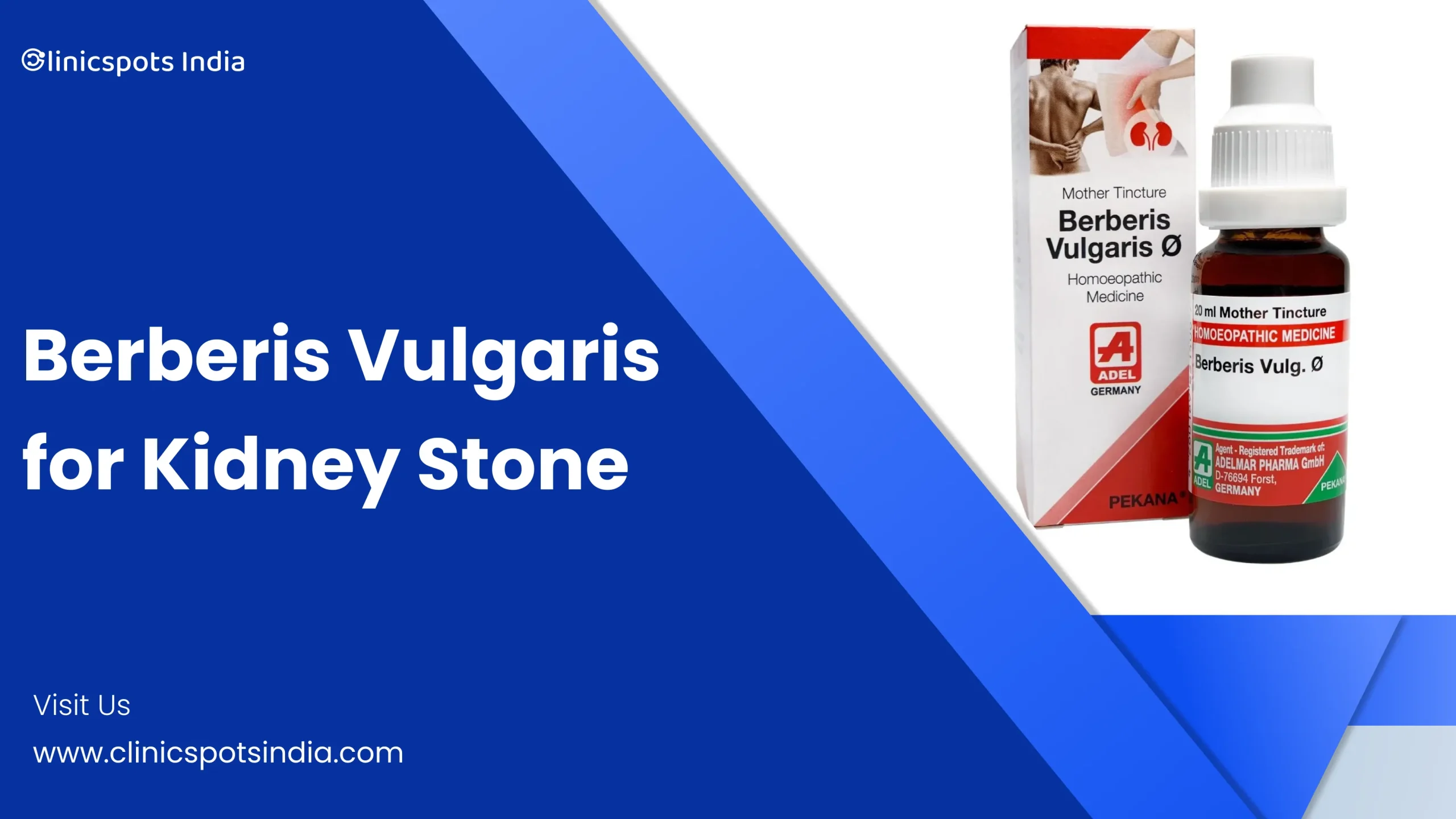 Berberis Vulgaris for Kidney Stones
