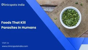 Our Blogs 13 foods that kill parasites in humans